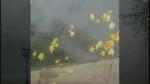 фото Дымовая Завеса - Ветер листву