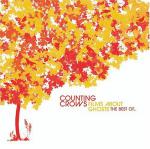фото Counting Crows - Accidentally in Love