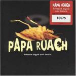 фото Papa Roach - Between angels and insects