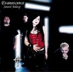 фото Evanescence - Understanding