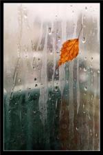 фото Николай Анисимов - Осень