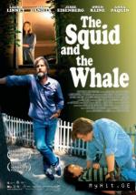 фото Кальмар и кит (The Squid and the Whale)